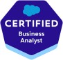 Business Analyst