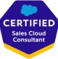 Sales Cloud Consultant
